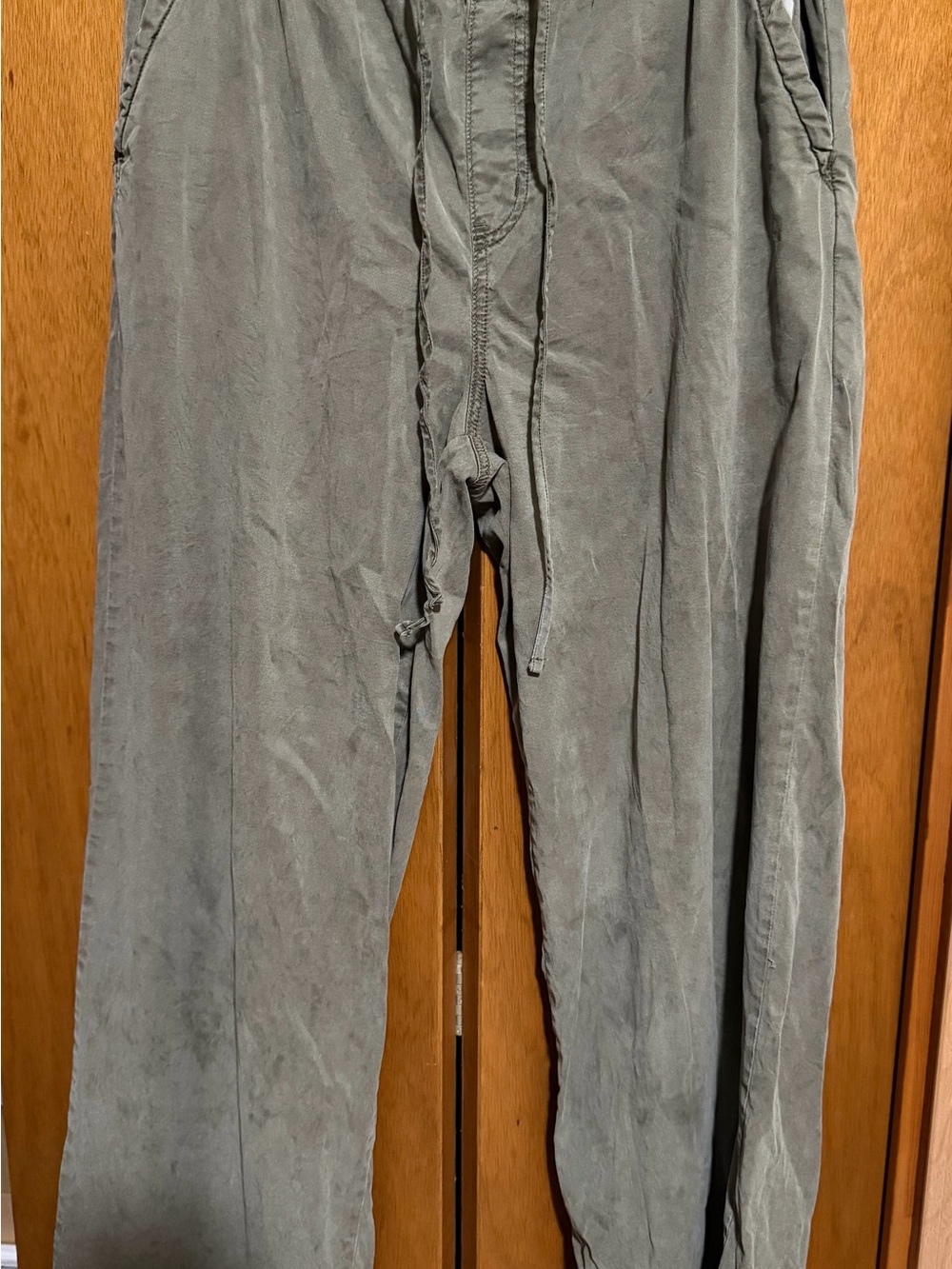 American Eagle Outfitters Pants in Sage